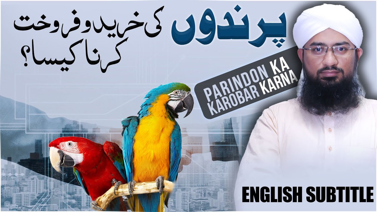 Parindo Ka Karobar Karna Kaisa?